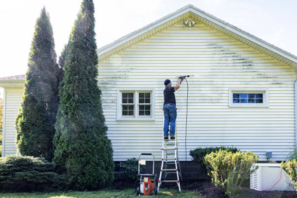 Best Deck Cleaning Services  in Twin Grove, IL